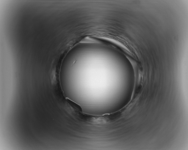 X0000099960520200805301316