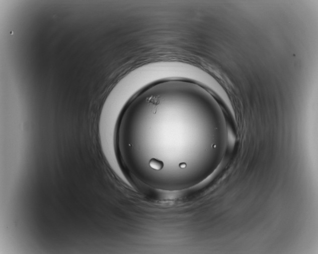 X0000099960521200805301316