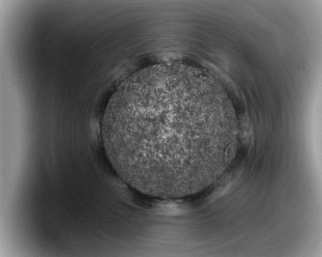 X0000099960523200805301316