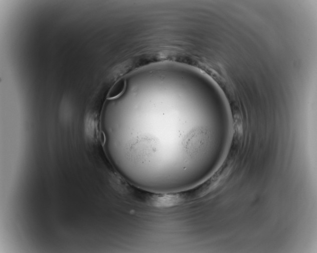 X0000099960527200805301316