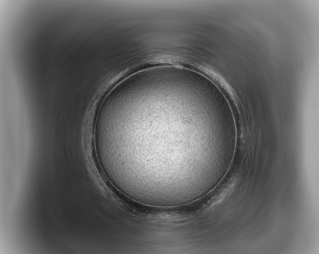 X0000099960529200805301316