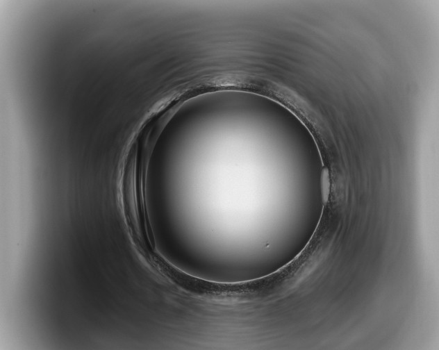 X0000099960530200805301316