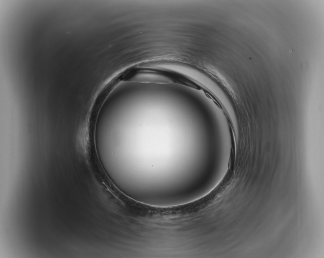 X0000099960532200805301316
