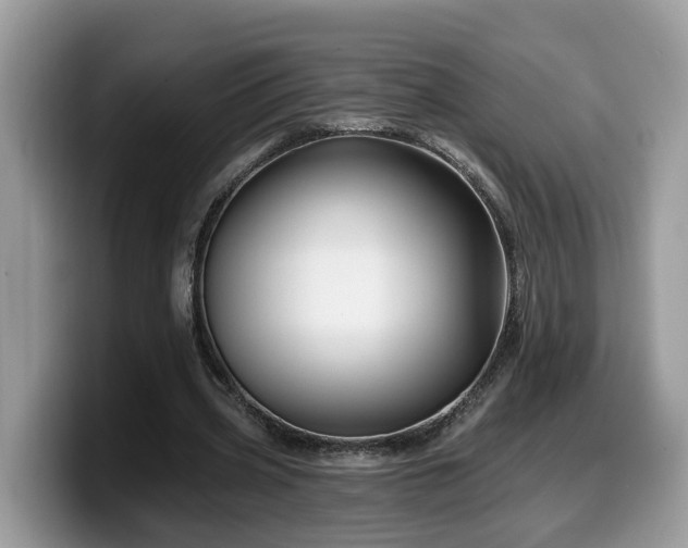 X0000099960533200805301316