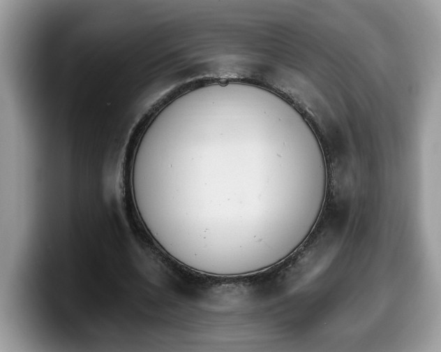 X0000099960536200805301316
