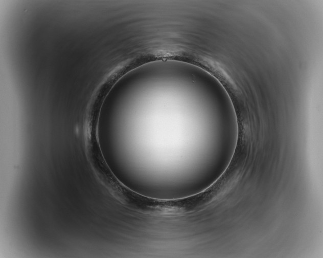 X0000099960539200805301316