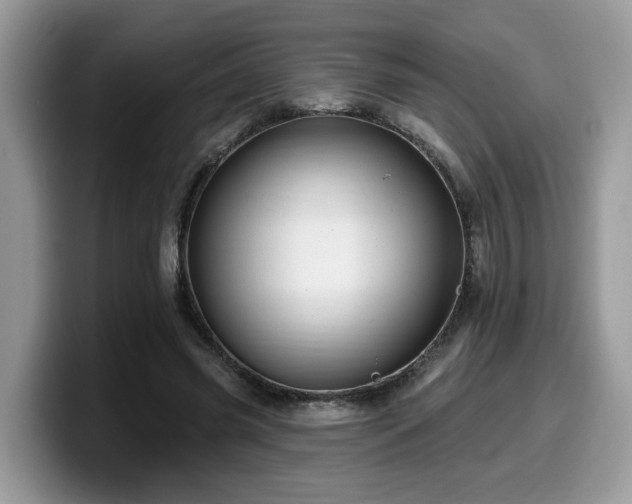 X0000099960541200805301316