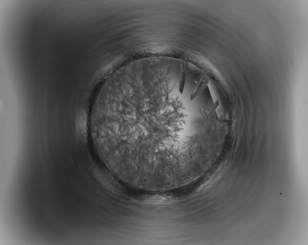 X0000099960542200805301316