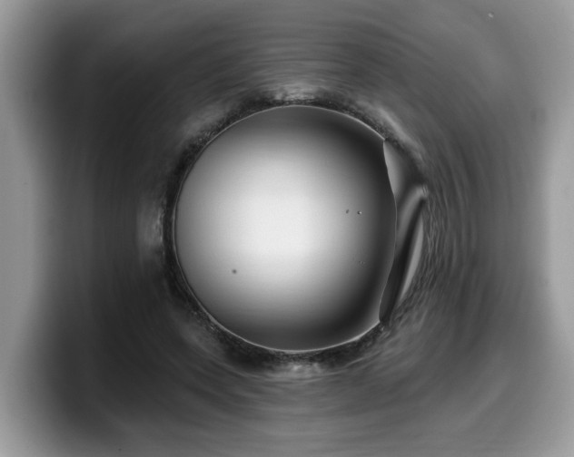 X0000099960543200805301316