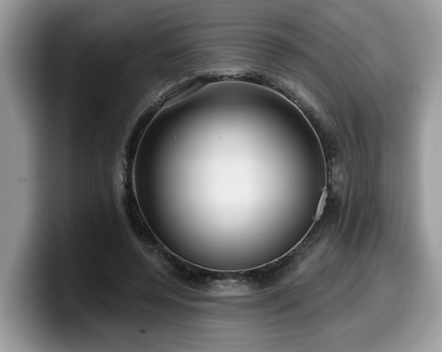 X0000099960544200805301316