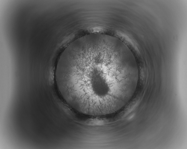 X0000099960545200805301316
