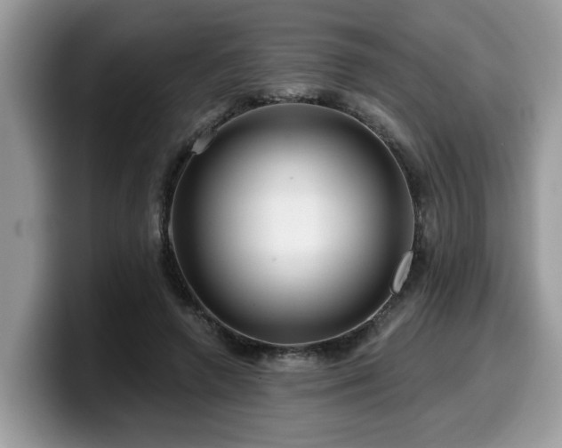 X0000099960546200805301316