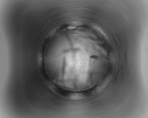 X0000099960549200805301316