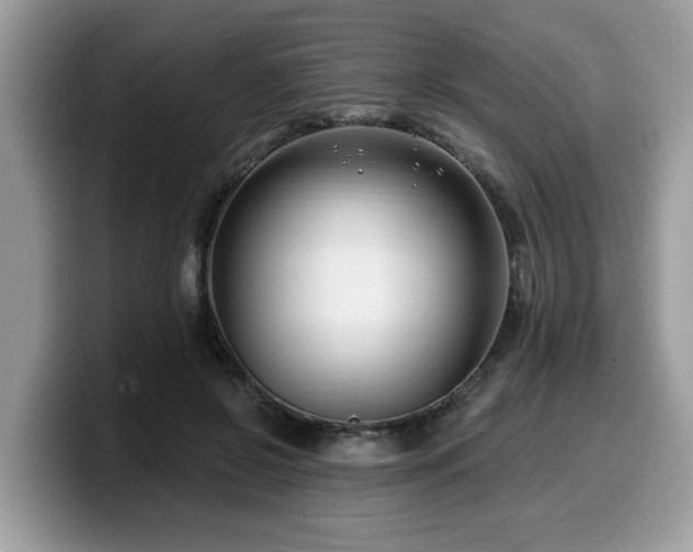 X0000099960550200805301316
