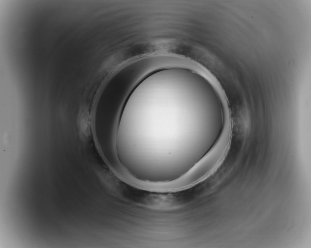 X0000099960552200805301316
