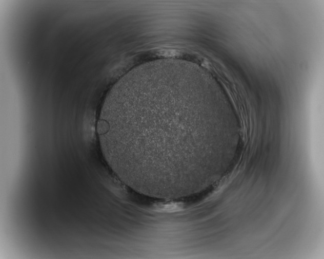 X0000099960553200805301316