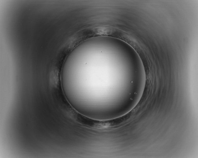 X0000099960554200805301316