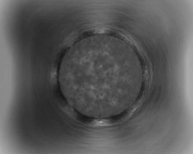 X0000099960557200805301316