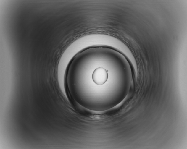 X0000099960558200805301316
