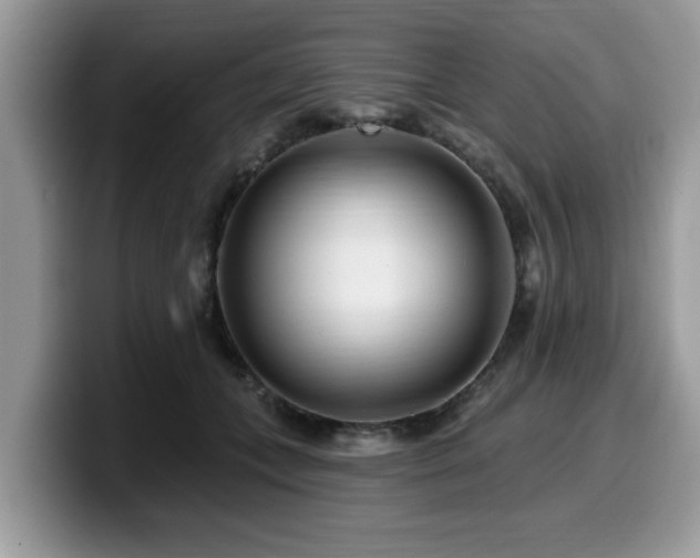 X0000099960559200805301316