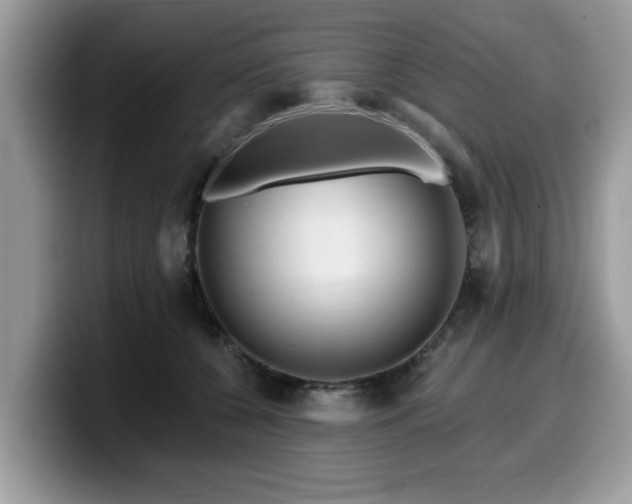 X0000099960560200805301316