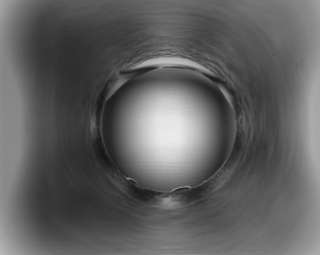 X0000099960564200805301316