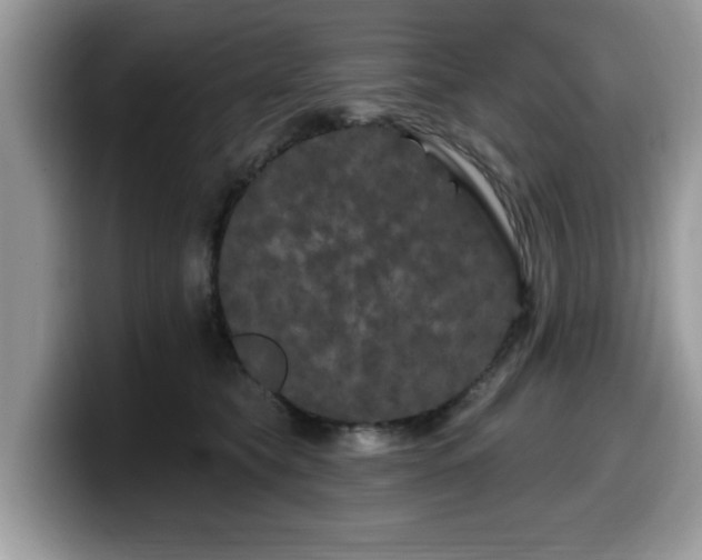 X0000099960565200805301316