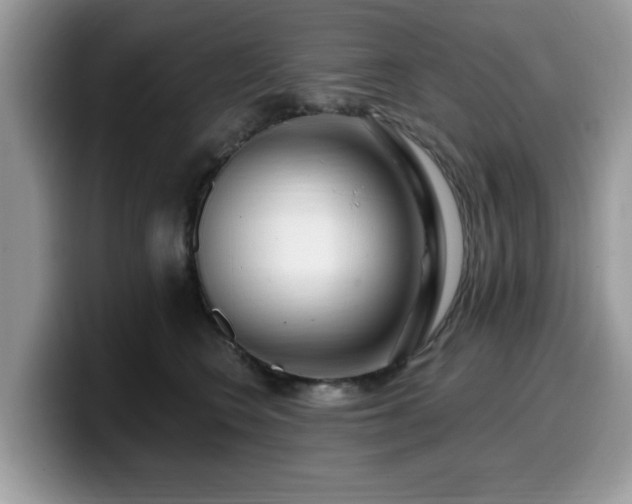 X0000099960566200805301316