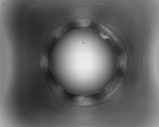 X0000099960568200805301316