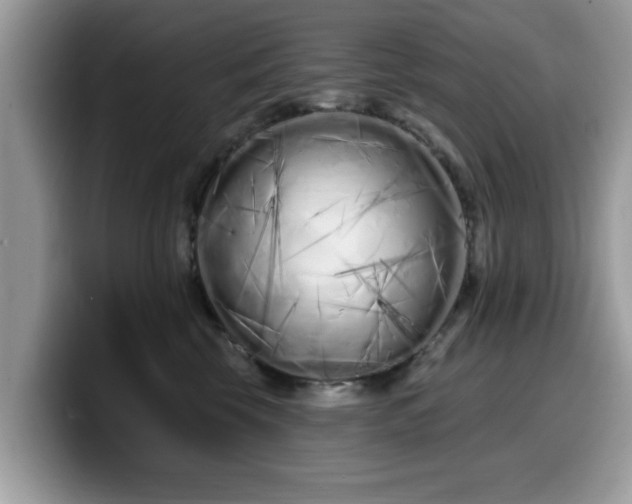 X0000099960569200805301316