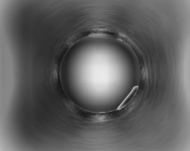 X0000099960570200805301316