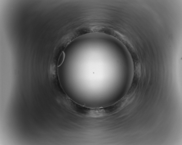 X0000099960571200805301316