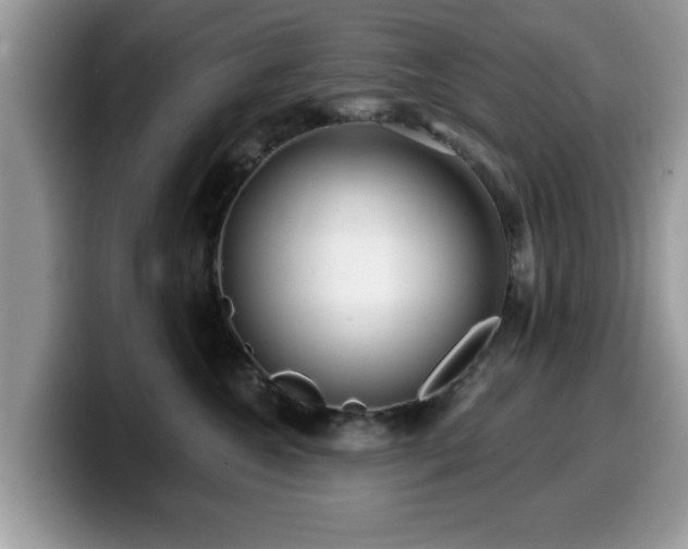X0000099960572200805301316