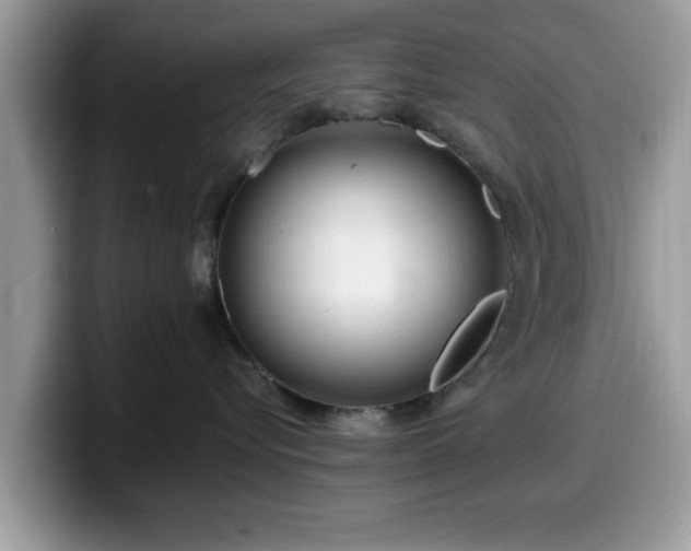 X0000099960576200805301316