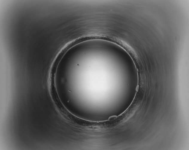 X0000099960580200805301315