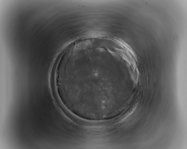 X0000099960581200805301315