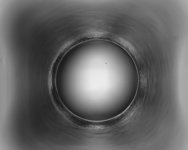 X0000099960582200805301315