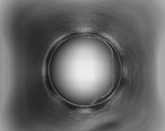 X0000099960583200805301315
