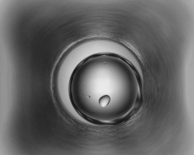 X0000099960584200805301315
