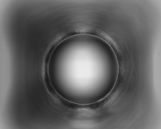 X0000099960586200805301315