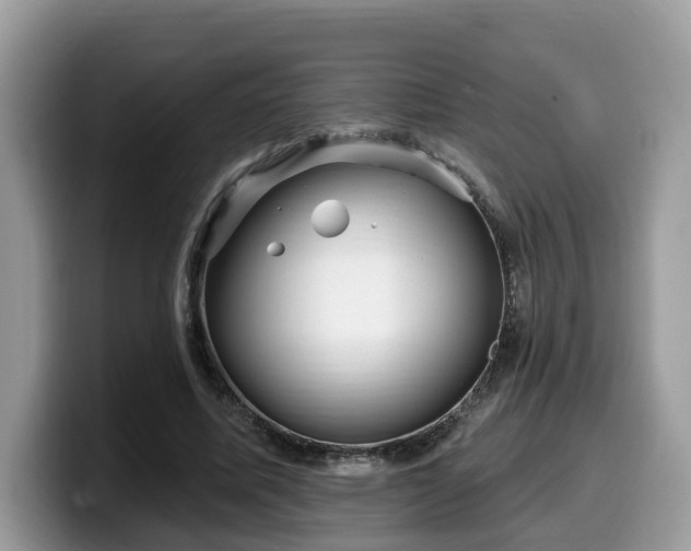X0000099960587200805301315