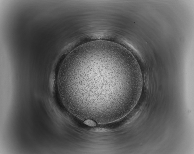 X0000099960590200805301315