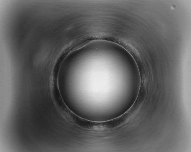 X0000099960591200805301315