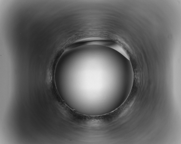 X0000099960593200805301315