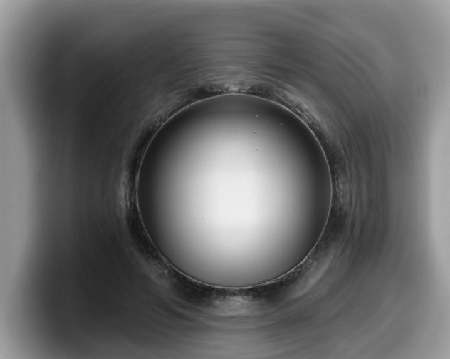 X0000099960594200805301315