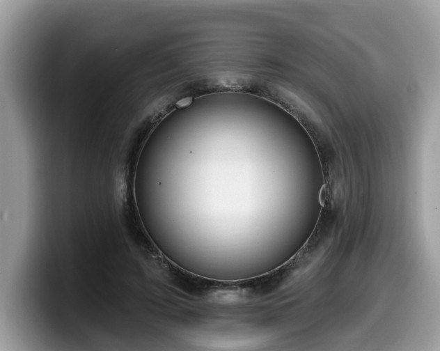 X0000099960595200805301315