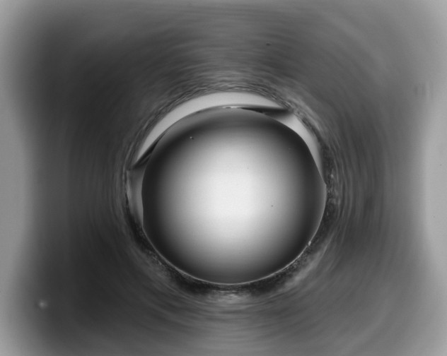 X0000099960597200805301315