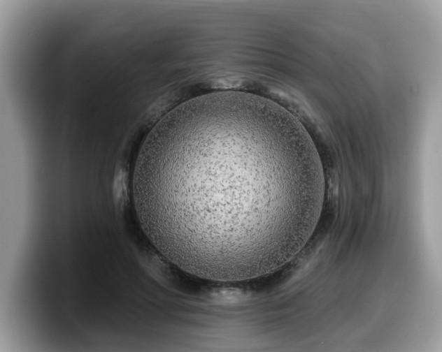 X0000099960598200805301315