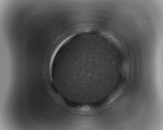 X0000099960600200805301315