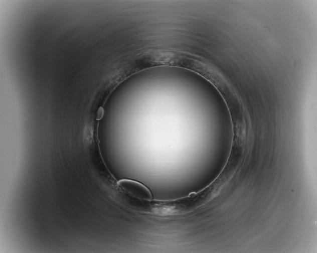 X0000099960602200805301315